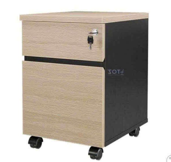 Hộc tài liệu 2 ngăn HG-07