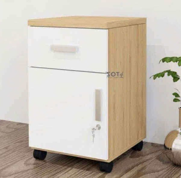 Hộc tài liệu 2 ngăn HG-08